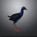 Blue And Black Bird With Red Beak And Red Legs 3D Rendered On Gray Background