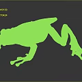 Detailed Brown And Orange Spotted Frog With Textured Skin On Dark Background