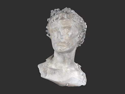 Man Marble Bust Statue With Curly Hair And Shoulder Attire On Dark Background 3d model