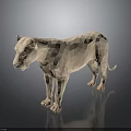 Low Poly White Lion Model Standing On Dark Background With Reflection