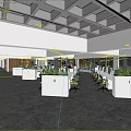 Contemporary Public Office Space Featuring Open Workstations Green Plants Ergonomic Chairs And Natural Lighting