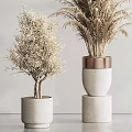 Elegant Decorative Bonsai Potted Plants In White Ceramic Pots With Copper Accents For Indoor Decor