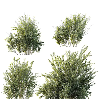 Various Green Dense Shrubs For Garden Landscaping And Plant Decoration 3d model