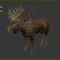 Detailed Brown Moose Model With Majestic Antlers On Dark Surface