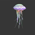 Decorative Jellyfish Like Plant With Pink Purple Tentacles On White Background