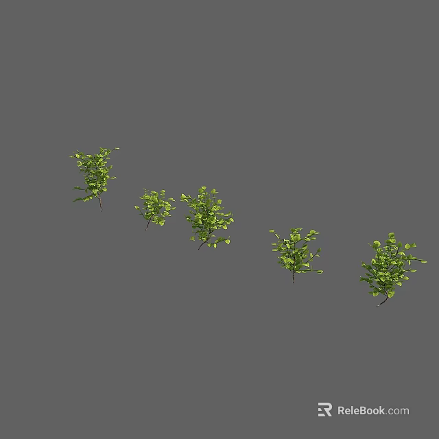 Multiple Green Shrubs With Various Leaf Shapes And Sizes On Gray Background 3d model
