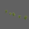 Multiple Green Shrubs With Various Leaf Shapes And Sizes On Gray Background 3d model