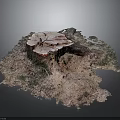 Natural Wooden Stump Cross Section Displaying Growth Rings And Stone Texture Details