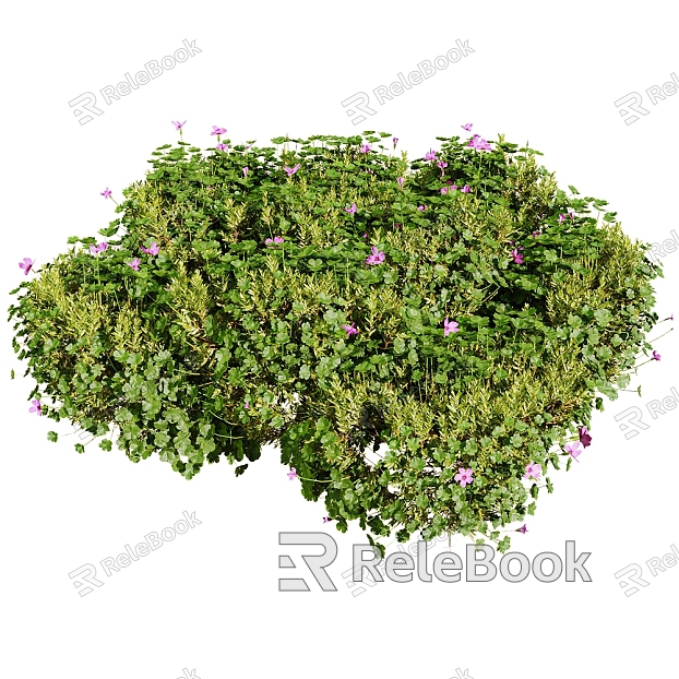 Modern outdoor green plants and flowers model