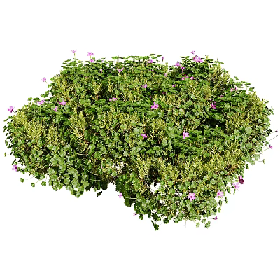 Lush Green Plants Adorned with Purple Small Flowers Creating Vibrant Natural Scene 3d model