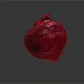Modern Yellow Onion Purple Onion White Onion Red Onion 3d model