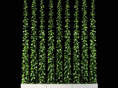 Lush Green Plant Wall With Hanging Vines And White Planter Containers 3d model