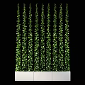 Lush Green Plant Wall With Hanging Vines And White Planter Containers