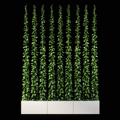 Lush Green Plant Wall With Hanging Vines And White Planter Containers 3d model