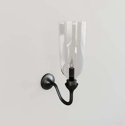 Unique Shaped Wall Light With Transparent Glass Shade And Black Base For Modern Home Decor 3d model