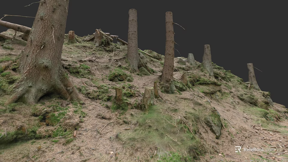 Natural Wood Trunks And Stone Rocks In Forest Ground With Green Moss Growth 3d model 