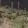 Natural Wood Trunks And Stone Rocks In Forest Ground With Green Moss Growth