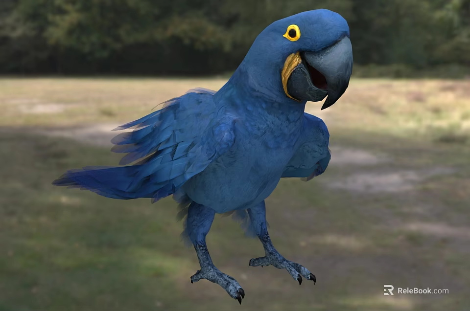 Flying Animal Blue Parrot With Yellow Eyes Standing On Grassland Displaying Vibrant Feathers 3d model 