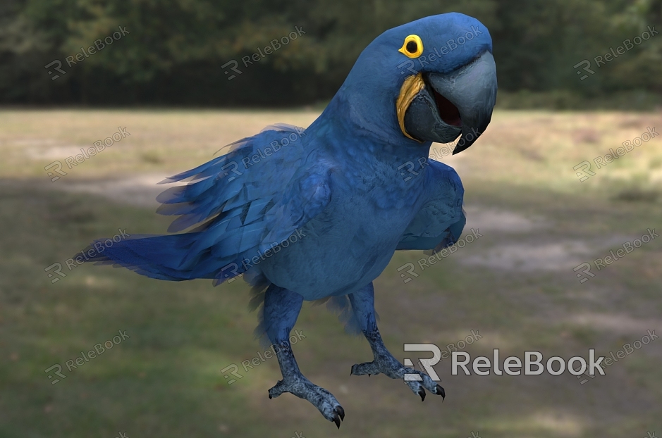 purple blue macaw blue purple macaw hyacinth macaw bird animal creature model