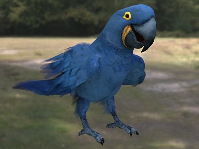 purple blue macaw blue purple macaw hyacinth macaw bird animal creature model