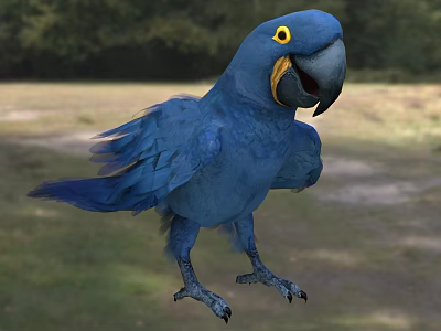 Flying Animal Blue Parrot With Yellow Eyes Standing On Grassland Displaying Vibrant Feathers 3d model