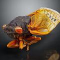 Cicada Recently Molted Exoskeleton With Transparent Wings And Detailed Body Structure 3d model
