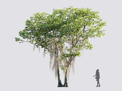 Lush Arbor With Green Leaves Hanging Moss And Little Girl Standing Nearby 3d model