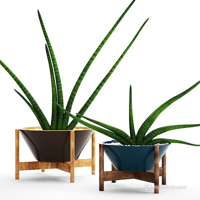 Brown And Blue Decorative Pots With Green Leaf Potted Plants On Wooden Stands 3d model 