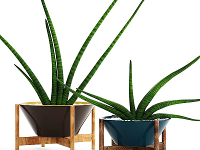 Brown And Blue Decorative Pots With Green Leaf Potted Plants On Wooden Stands 3d model