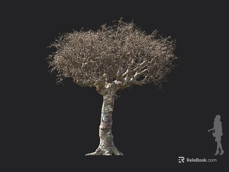 Large Tree With Textured Bark And Dense Spreading Branches Against Dark Background With Human Silhouette 3d model 