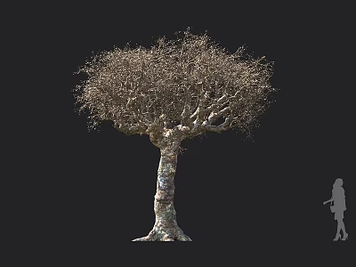 Large Tree With Textured Bark And Dense Spreading Branches Against Dark Background With Human Silhouette 3d model