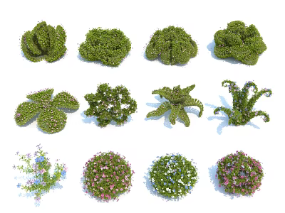Various Ornamental Garden Shrubs With Diverse Shapes Colorful Blooms And Foliage 3d model