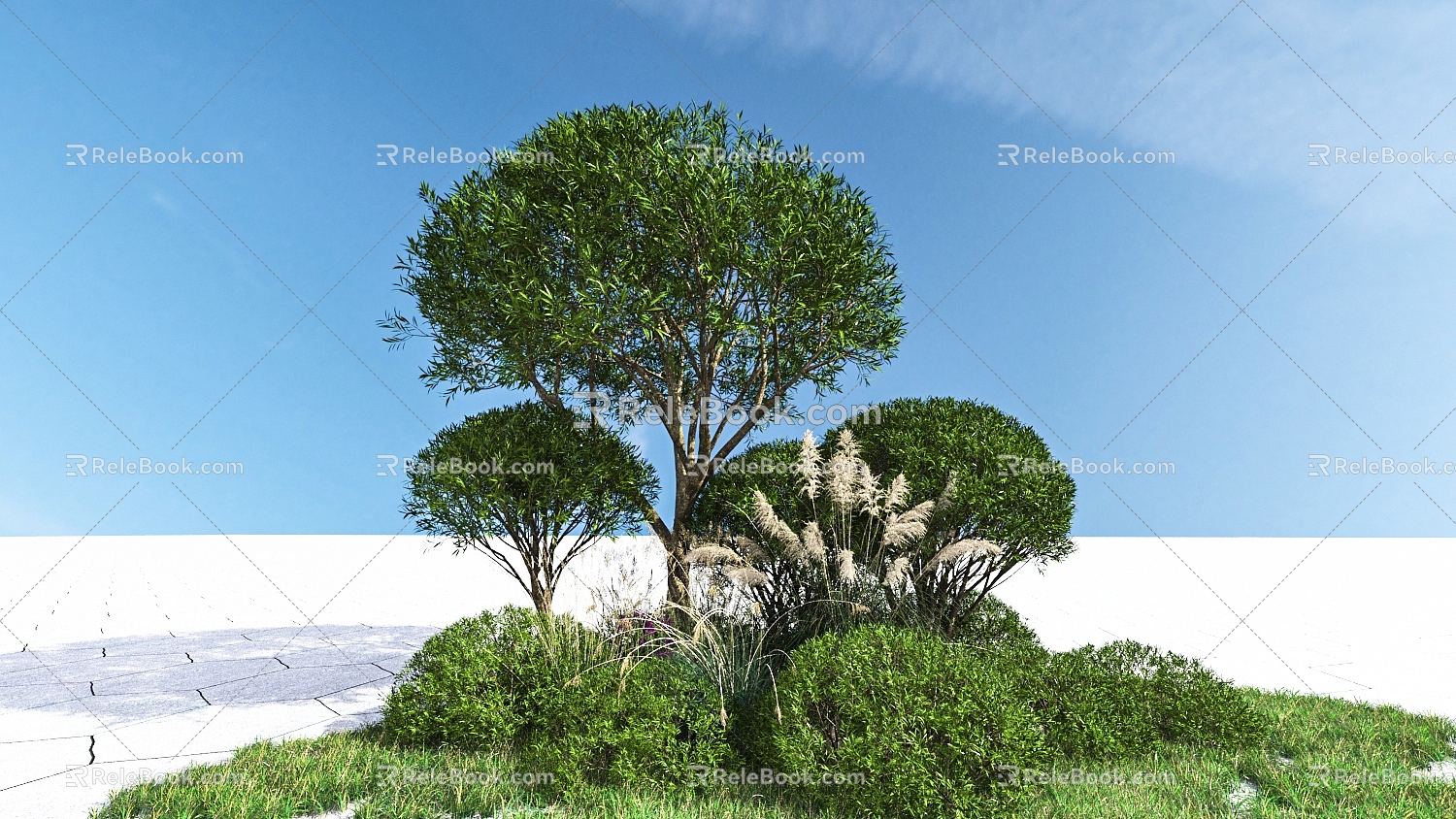 Plant Plant Combination Shrub Combination 3d model