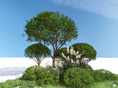 Plant Combination Shrub Combination 3d model