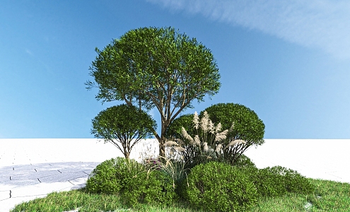 Plant Combination Shrub Combination 3d model