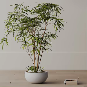 Modern Potted Plant 3d model