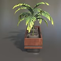 Two Bonsai Potted Plants In Wooden Rectangular Planter With Green Leaves 3d model