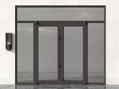 Double Doors with Modern Glass Panels and Exterior Wall Mounted Lighting Fixture Design 3d model