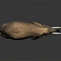 Realistic Elephant Model With Large Tusks Big Ears And Raised Trunk