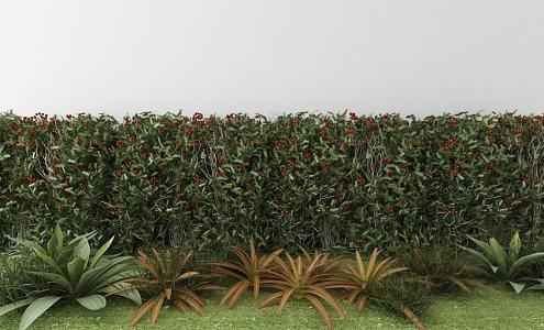 Shrubs 3d model