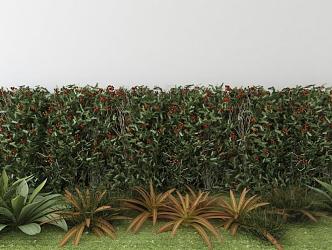 Shrubs 3d model