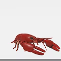 Red Lobster With Large Claws Vibrant Red Color Detailed Aquatic Creature on White Background
