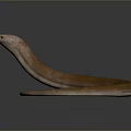 snake cobra venomous snake python reptile cold-blooded animal reptile 3d model