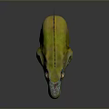 Lizard Anime Lizard Cartoon Lizard Reptile Cold Blooded Animal Reptile 3d model