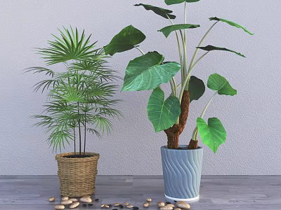 Green Potted Plants in Wicker Basket and Blue Wavy Pot with Pebbles on Wooden Surface 3d model
