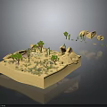 Small Green Plants Growing on Sandy Platform with Rocks in Desert Miniature Scene