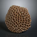 Bees Honeycomb Nest With Rounded Textured Structure On Dark Background