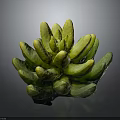 Succulent Plant With Green Yellow Plump Cluster Leaves On Dark Background