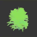 Lush Green Tree With Dense Foliage Isolated On Dark Gray Background