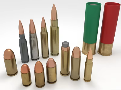 Assorted Weapon Bullets Featuring Copper Silver Green Red Brass Casings And Various Sizes 3d model